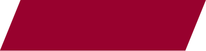 Maroon Color Block 