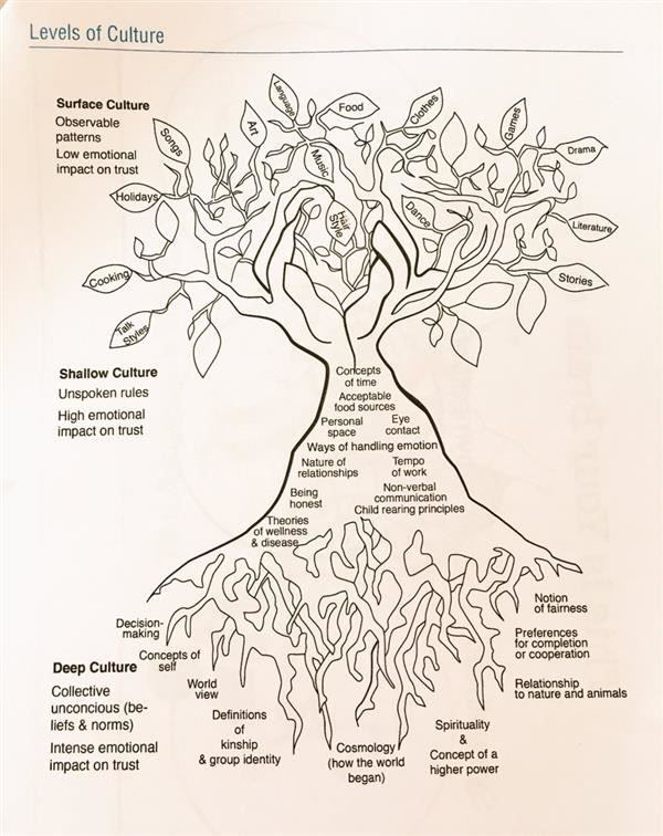 Levels of Culture 